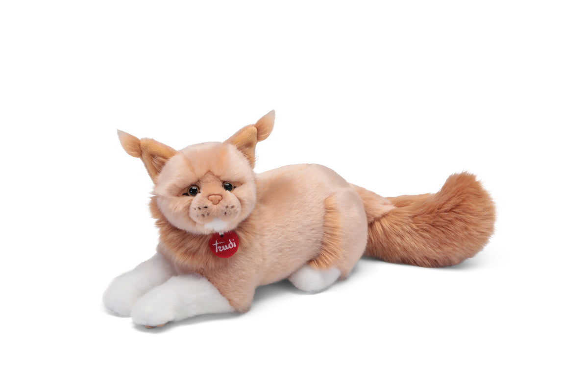 Maine Coon Vittorio taglia M