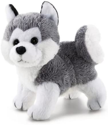 Husky Marcus Taglia XXS