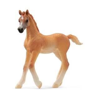 Puledro arabo Schleich