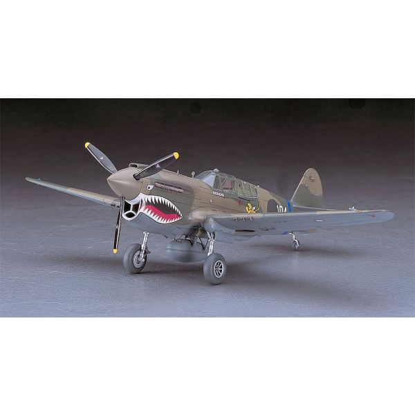 Hasegawa - 1/48 P-40E Warhawk USAAF