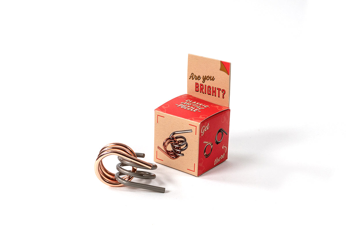 Are You Bright ? Classic Metal Puzzle