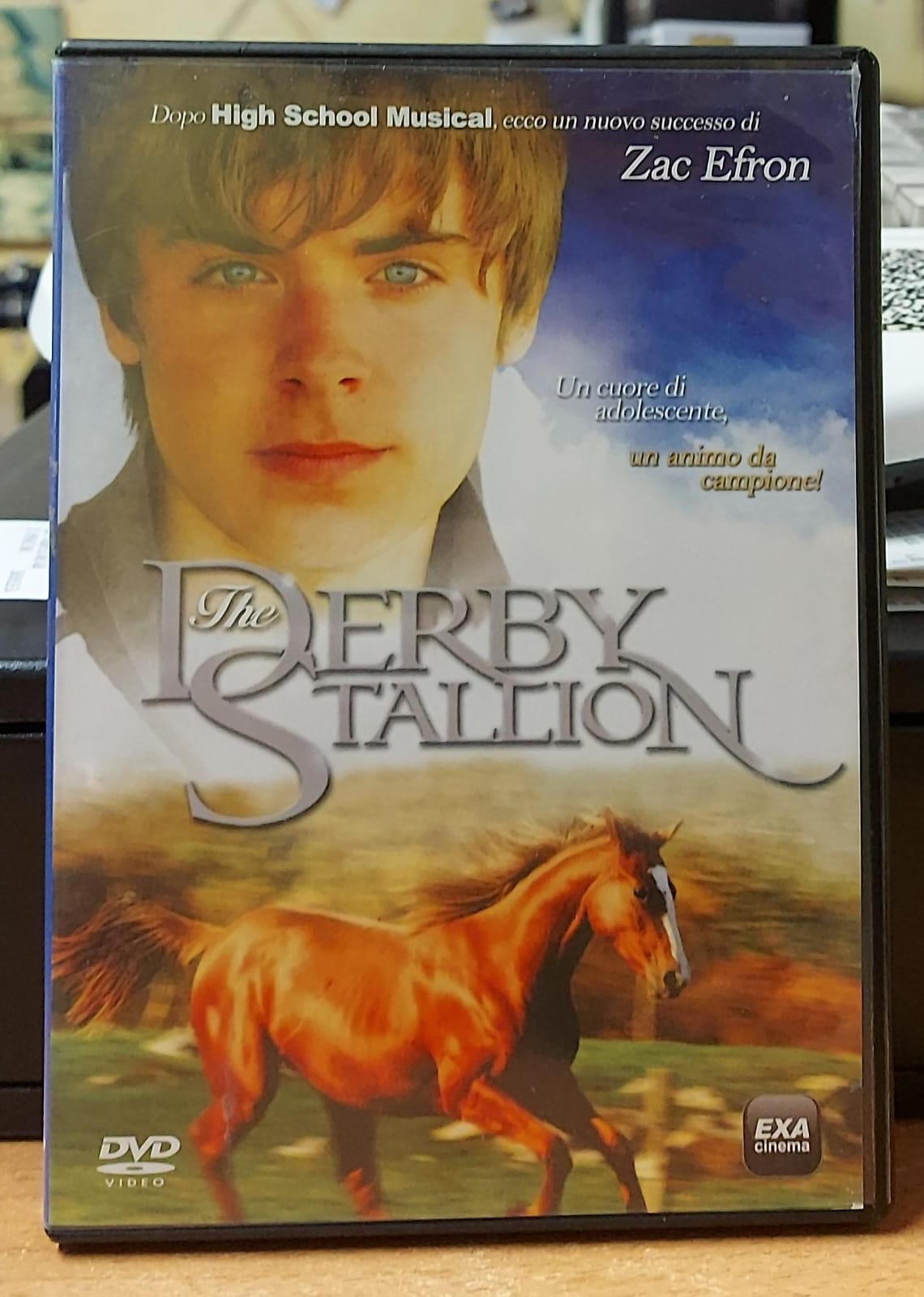 THE DERBY STALLION