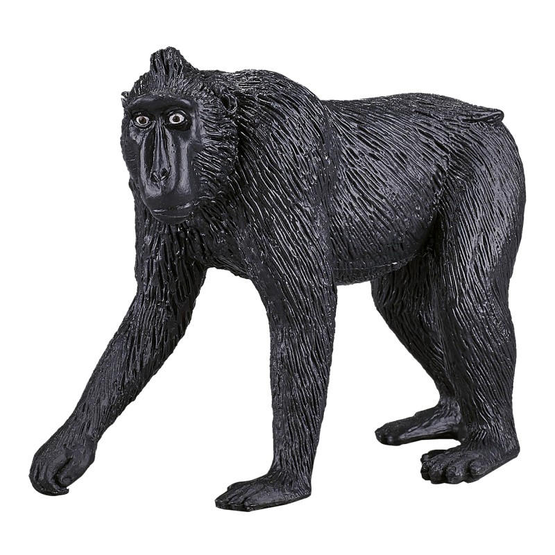 ANIMAL PLANET - Mojo Macaco Crestato Nero - 26083