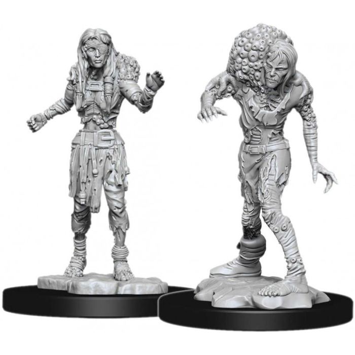 Assassino e Asceta Annegati - 2 Miniature D&D Nolzur's Marvelous W14