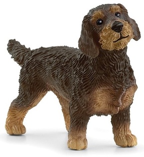 Schleich Bassotto a pelo ruvido