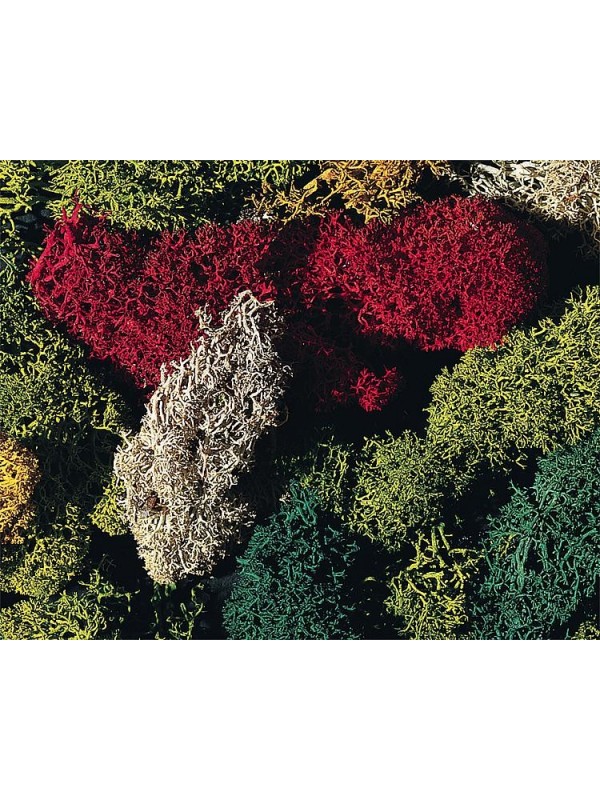 FALLER 170730 Confezione di licheni assortiti in 5 colori diversi (gr 80)