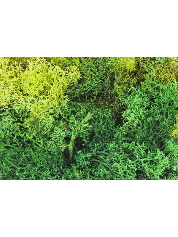 FALLER 170729 Confezione di licheni colore verde chiaro e scuro ( gr 50)