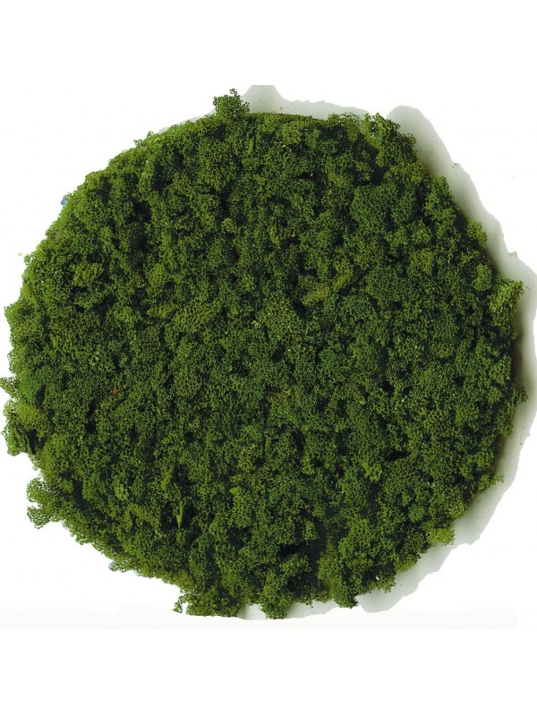 HEKI 3389 Confezione di fiocchi grandi verde scuro (contenuto 200 ml)