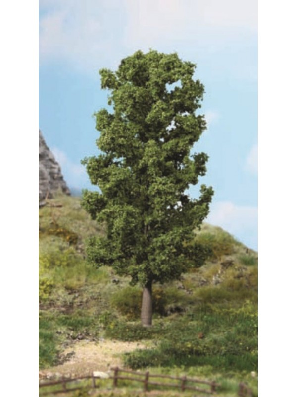 HEKI 1981 Faggio (altezza cm. 20)