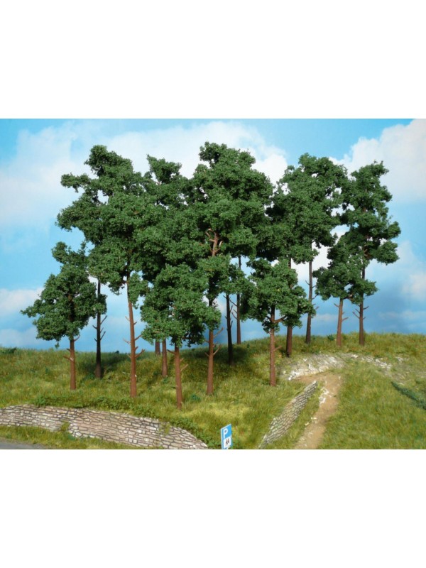 HEKI 1954 Pini marittimi pezzi 5 (altezza cm. 20)