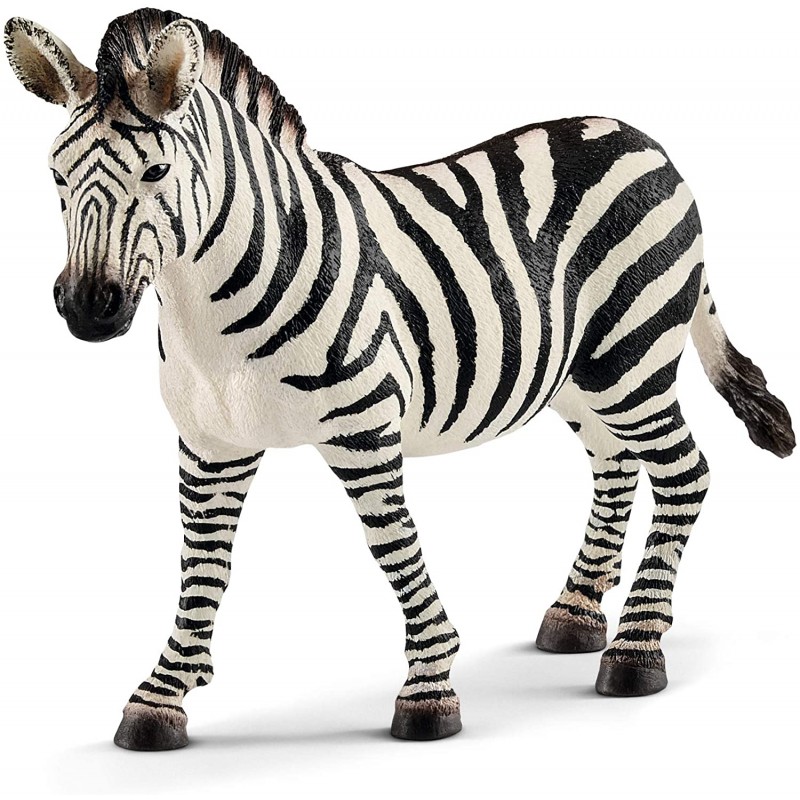 SCHLEICH - Giovane Zebra Femmina - 14810