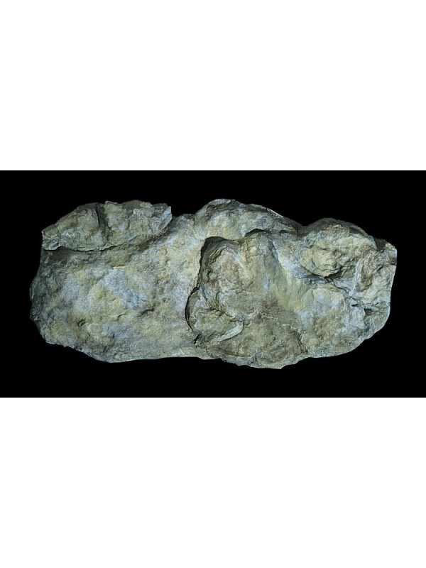 WOODLAND SCENICS C1242 Calco in gomma per rocce 'Washed Rock Mold'