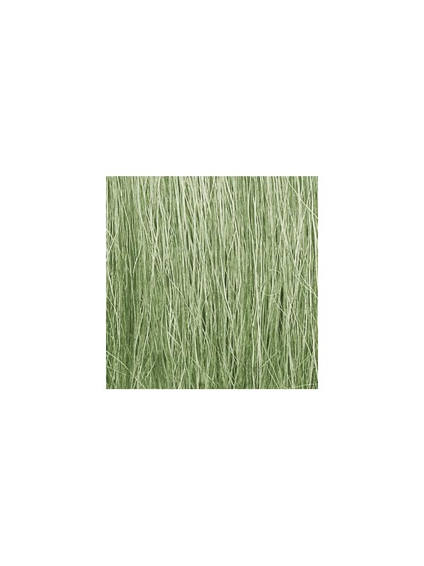 WOODLAND SCENICS FG173 Cespugli per laghetti colore verde chiaro